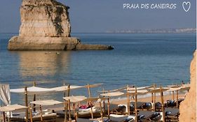 Ocean Terraces Vila Gaivota J